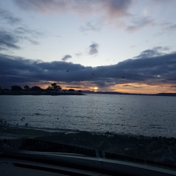 Meet your Posher, Jans - Picture 8 of 8